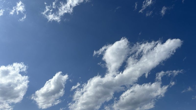11周年を迎えて　〜WADAYAにできることではなく、WADAYAだからできること〜